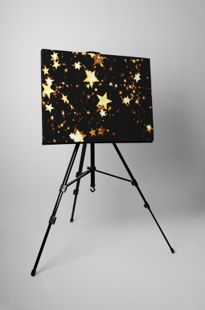 Tablou canvas : Stelute [2]