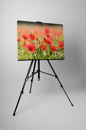 Tablou canvas : Camp de maci [2]