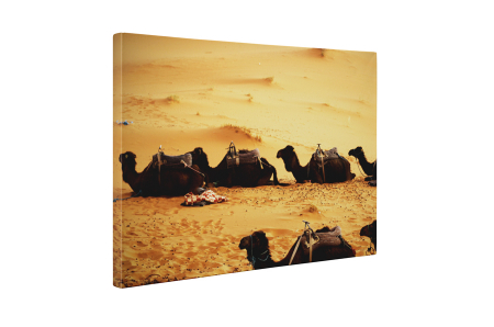 Tablou canvas : Camile obosite [4]