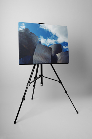 Tablou canvas : Arhitectura moderna [2]