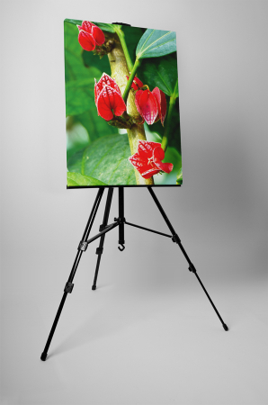 Tablou canvas : Flori tropicale [2]
