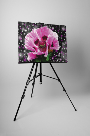 Tablou canvas : Floare roz [2]