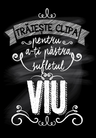 Tablou canvas : Traieste clipa [3]