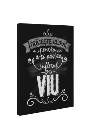 Tablou canvas : Traieste clipa [4]