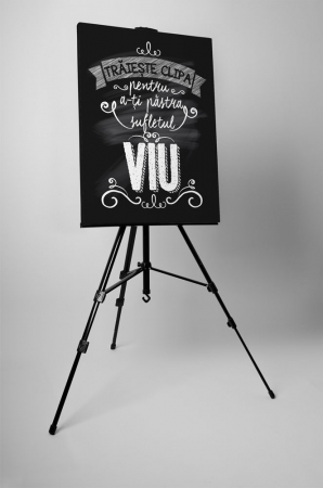 Tablou canvas : Traieste clipa [2]