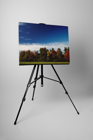 Tablou canvas : Padure [2]