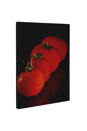 Tablou canvas : Patru rosii [4]