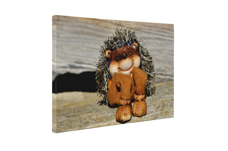 Tablou canvas : Arici de jucarie [4]