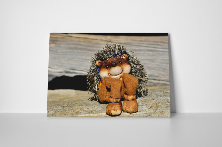 Tablou canvas : Arici de jucarie [1]