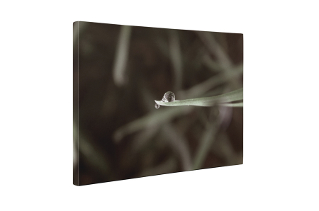Tablou canvas : Un strop de apa [4]