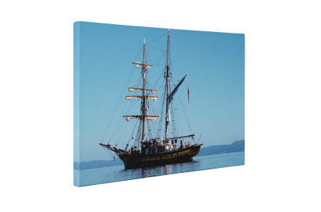 Tablou canvas : Nava [4]