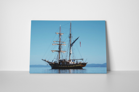 Tablou canvas : Nava [1]