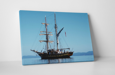 Vehicule - Tablou canvas : Nava