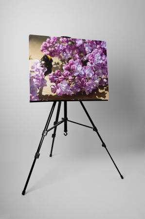 Tablou canvas : Liliac mov [2]