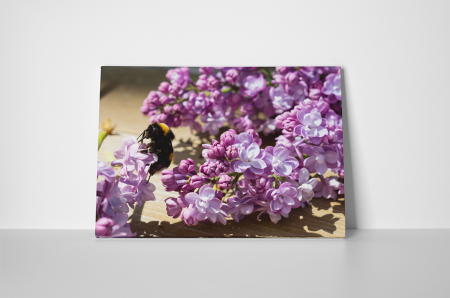 Tablou canvas : Liliac mov [1]