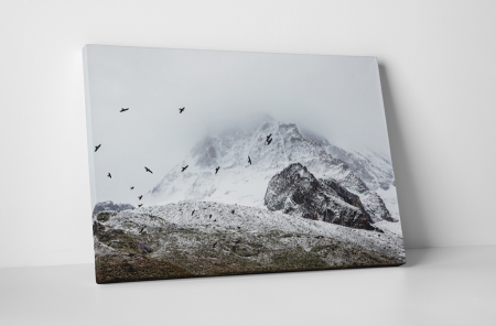 Peisaje - Tablou canvas : Varf de munte
