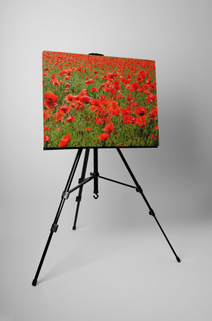 Tablou canvas : Sute de maci [2]