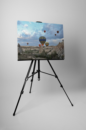 Tablou canvas : Calatorie cu balon cu aer cald [2]