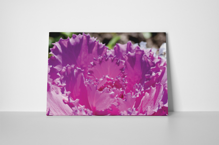 Tablou canvas : Purple flower [1]