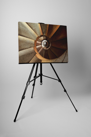 Tablou canvas : Scari in spirala [2]