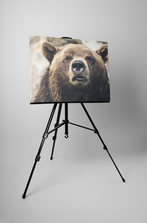 Tablou canvas : Ursul [2]