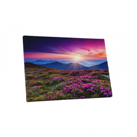 Tablou canvas : Rasarit inflorit [3]