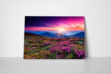 Tablou canvas : Rasarit inflorit [2]