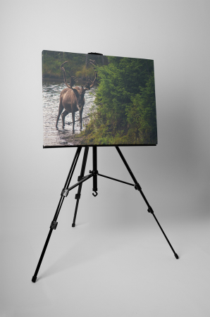 Tablou canvas : Cerbul in apa [2]