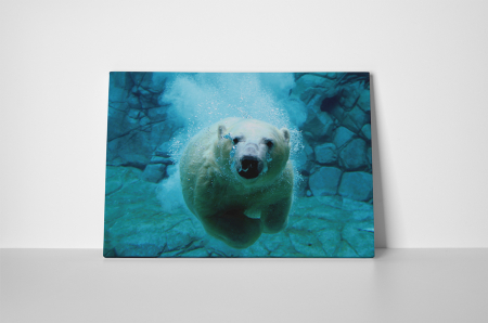 Tablou canvas : Ursul polar [1]