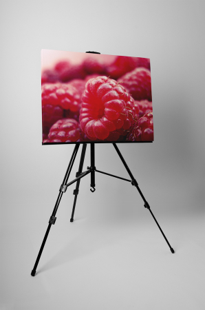 Tablou canvas : Zmeura [2]