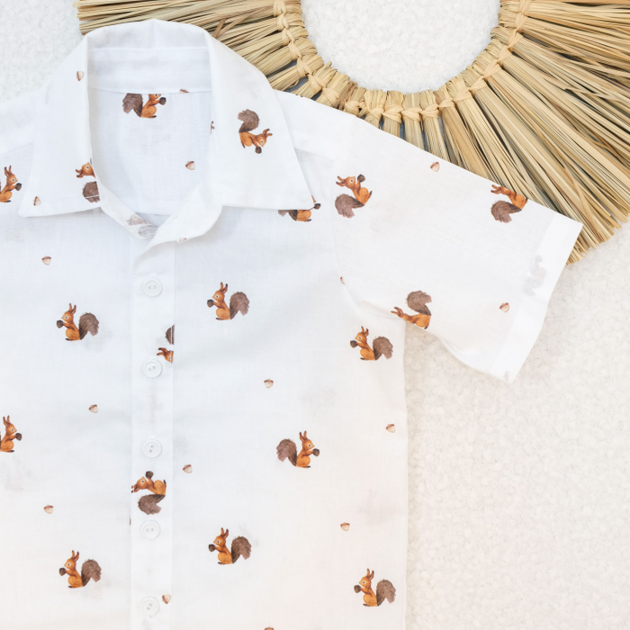 Camasa clasica cu veverite [2]