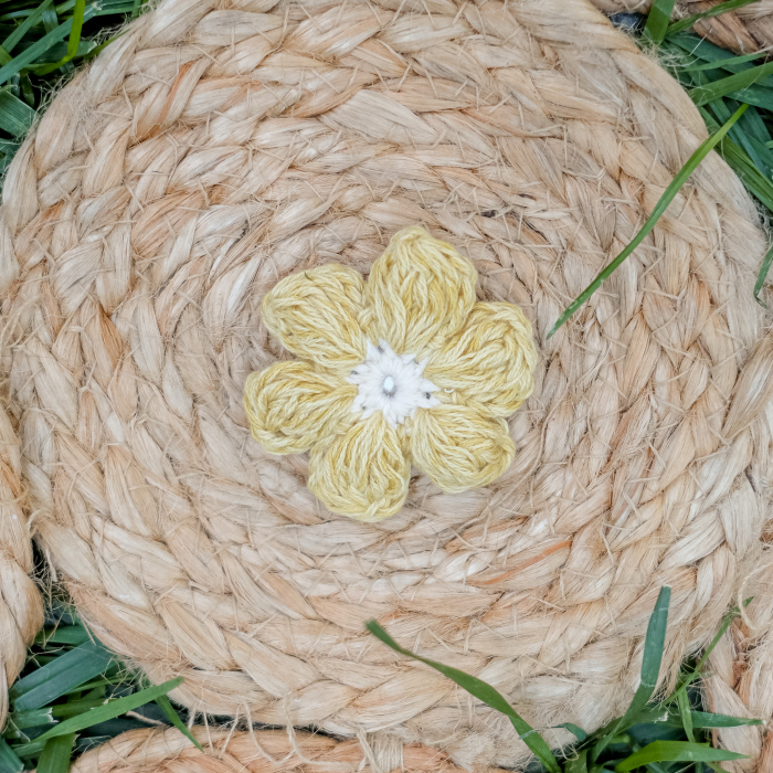 Floricele crosetate [6]