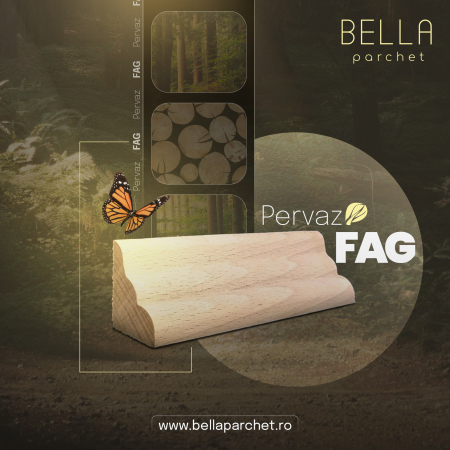 Plinta si Pervaz - Pervaz fag classic