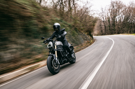Benelli Leoncino 800 [13]
