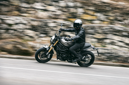 Benelli Leoncino 800 [15]