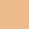 Corector lichid PAESE cu acoperire mare 40 Golden Beige, 9 ml [13]