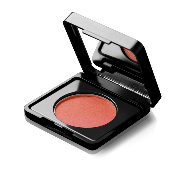 Fard de obraz cu ulei de argan Artist, Nr. 62 - 9g [3]