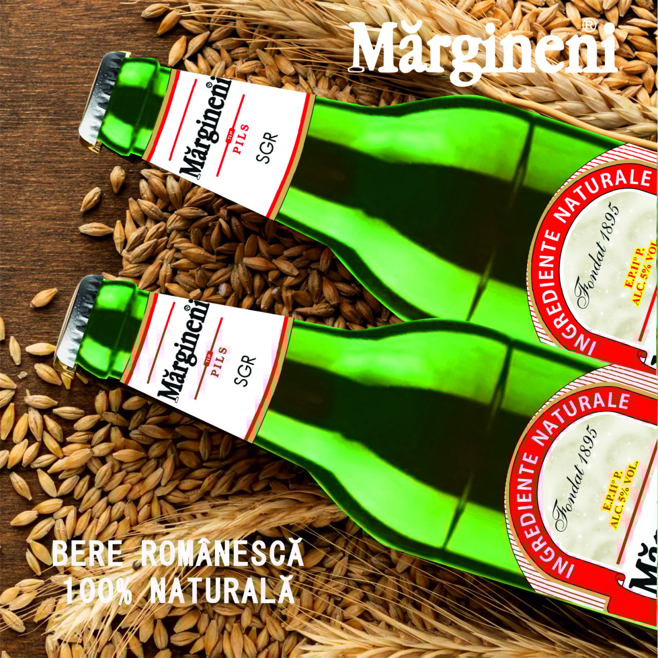 Bere Blonda Margineni 0,5 L, 5% vol. alc., sgr [3]