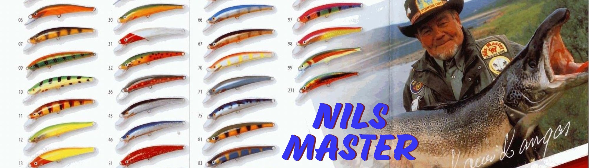Nils Master