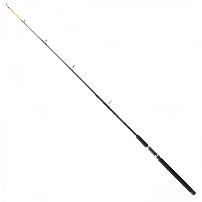 Lanseta pentru barca Mitchell Catch Spinning  212 100/200 Boat [2]