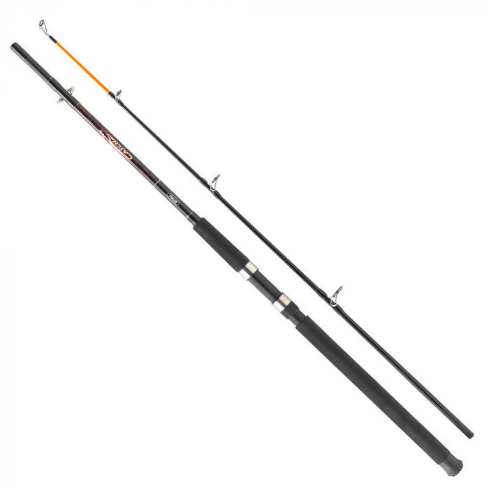 Lanseta pentru barca Mitchell Catch Spinning 272 100/300 Boat [1]