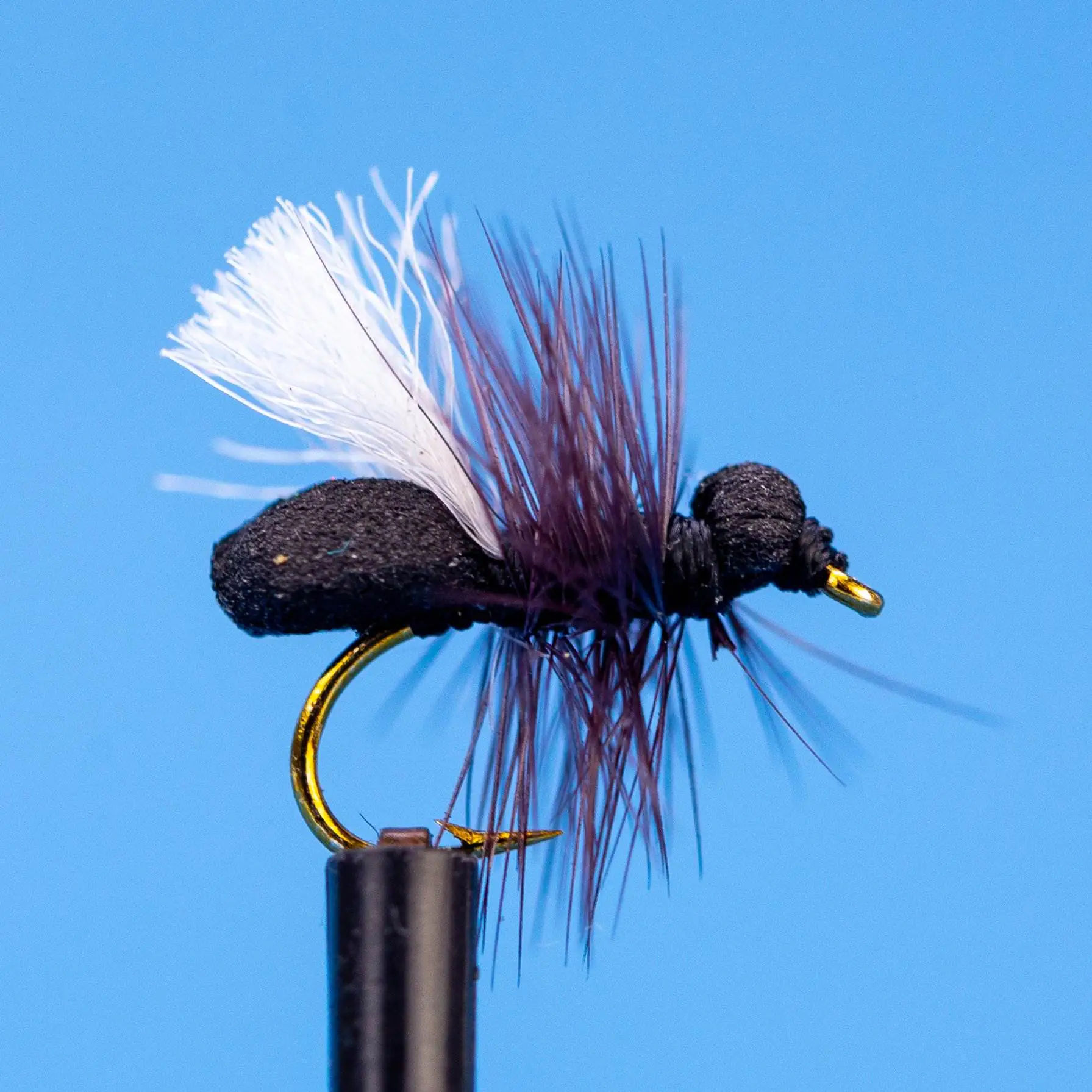 Black Ant HF #14 [1]