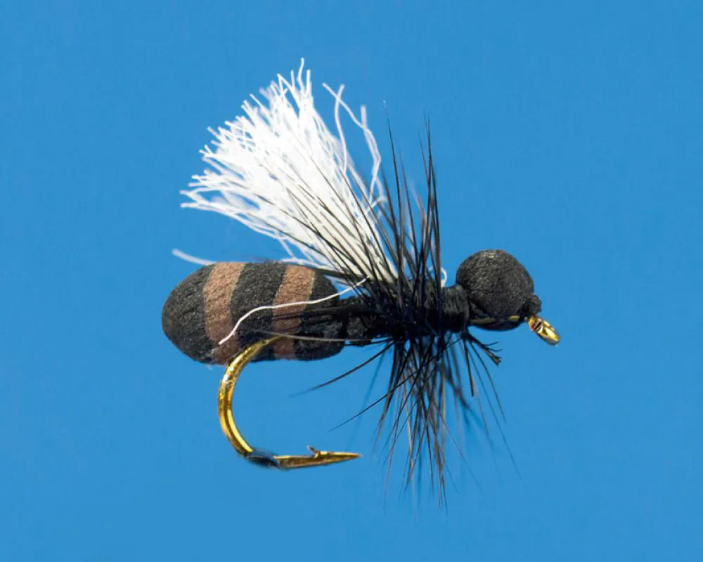 Flying Ant (cinnamon) #12 [1]