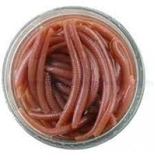 Momeala Berkley Gulp! Alive! Angle Worm 3 cm, NATURAL [2]