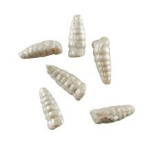 Momeala pentru pastrav Berkley Gulp Alive Waxies 12mm White [3]