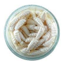 Momeala pentru pastrav Berkley Gulp Alive Waxies 12mm White [2]