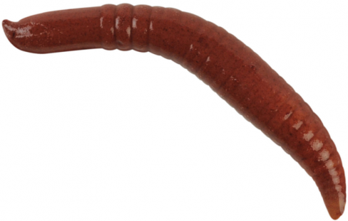 Momeala Berkley Worm Berkley Gulp! Floating Pinched Crawler 3cm, culoare nightcrawler 14 bucati [1]