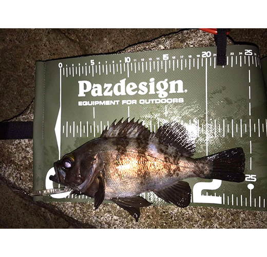 Masura capturi - Protect Measure 40 II Pazdesign, 20 x 47 cm,  White Blue,  PAC-317 [4]