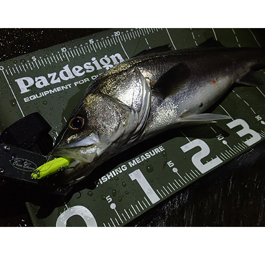 Masura capturi - Protect Measure 65 II Pazdesign, 20 x 47 cm, Olive White,  PAC-315 [5]