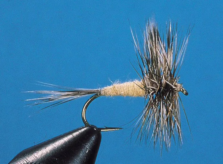 Dry Fly - Dry Fly Adams cream #16
